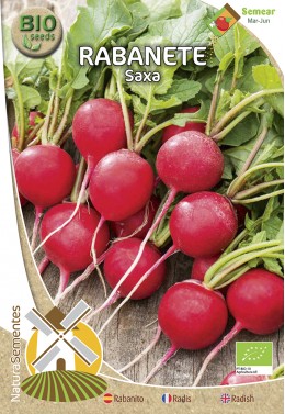 Rabanete Saxa