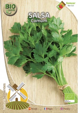 Salsa Comum