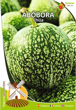 Abóbora Chila