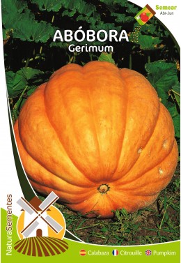 Abóbora Gerimum