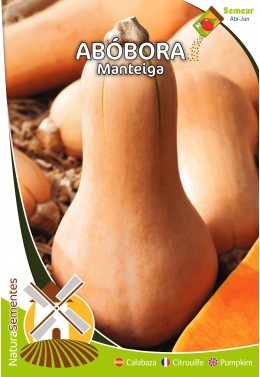 Abóbora Manteiga