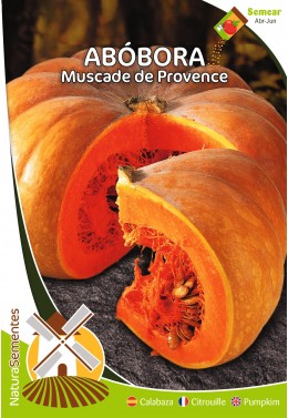 Abóbora Muscade de Provence