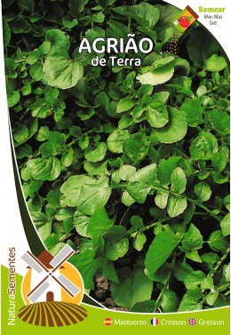 Agrião de Terra 