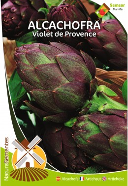 Alcachofra Violet de Provence 