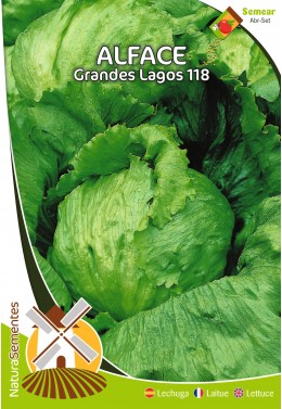Alface Grandes Lagos 118 