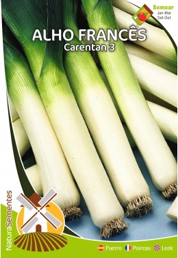 Alho Francês Carentan 3