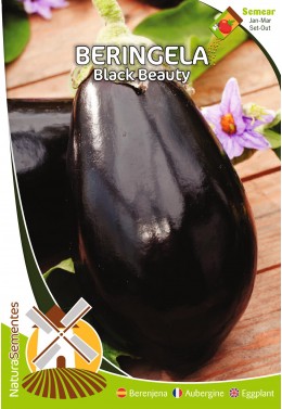 Beringela Black Beauty 
