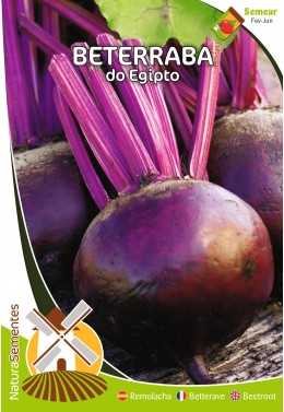 Beterraba do Egipto 