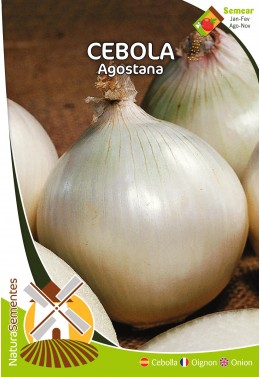 Cebola Agostana 