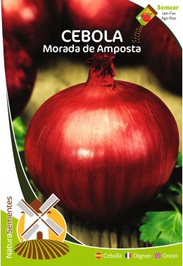 Cebola Morada de Amposta 
