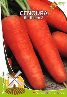 Cenoura Berlicum 2 