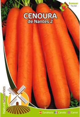 Cenoura de Nantes 2 