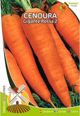 Cenoura Gigante Rossa 2 