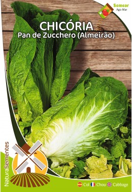 Achicória Pan di Zucchero (Almerião)