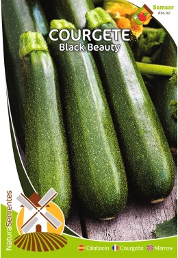 Calabacín Black Beauty