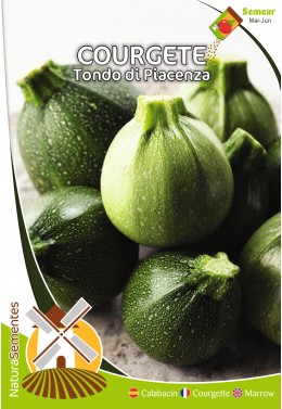 Calabacín Tondo di Piacenza