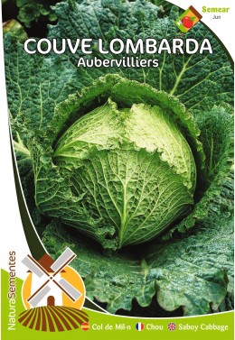 Couve Lombarda Aubervilliers