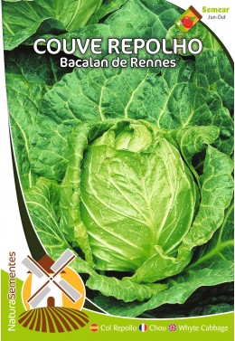 Couve Repolho Bacalan de Rennes 