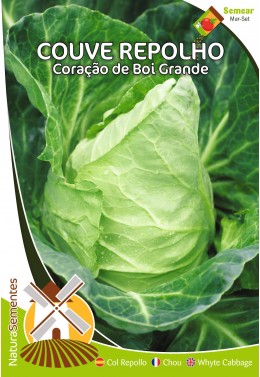 Couve Repolho Coração de Boi Grande 
