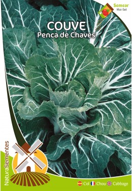 Couve Penca de Chaves