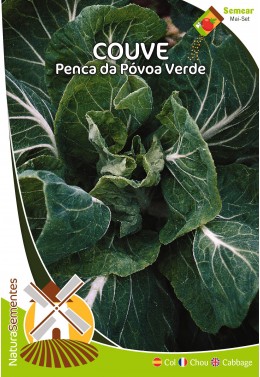 Couve Penca de Póvoa Verde