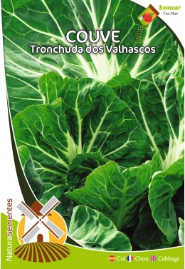 Couve Tronchuda dos Valhascos 
