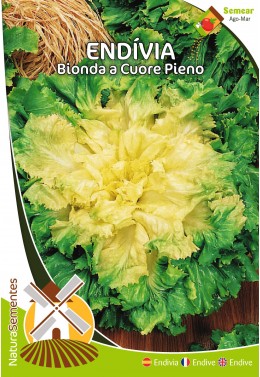 Endivia Bionda a Cuore Pieno 