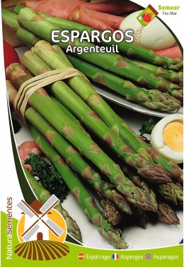 Espargos Argenteuil