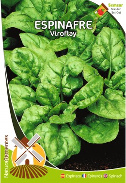 Espinafre Viroflay 