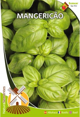 Albahaca