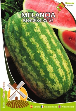 Melancia Klondike RS 57 