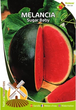 Melancia Sugar Baby