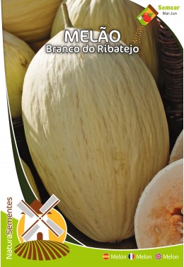 Melão Branco do Ribatejo 