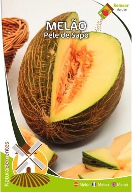 Melão Pele de Sapo 