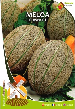 Meloa Fiesta F1 