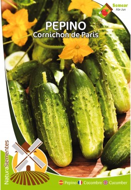 Pepino Cornichon de Paris 