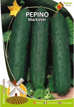 Pepino Marketer 