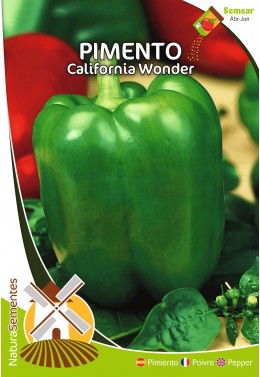 Pimento Califórnia Wonder 