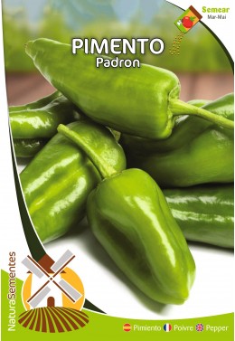 Pimento Padron 