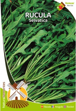 Rucula Selvatica 