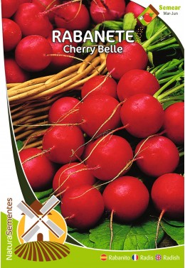Rabanete Cherry Belle 