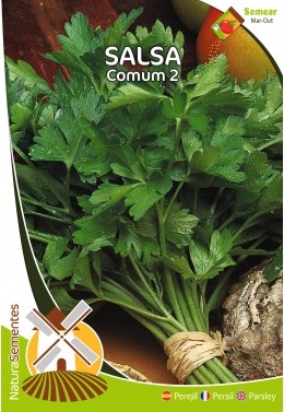 Salsa Comum 2 
