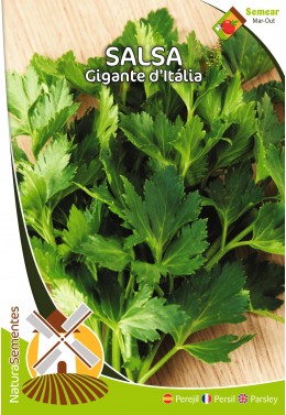 Salsa Gigante D'Itália 