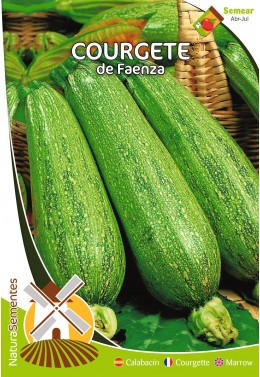 Calabacín de Faenza