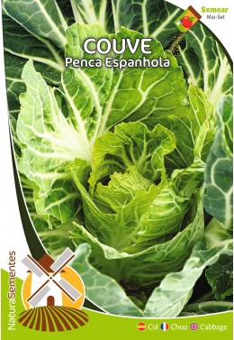 Couve Penca Espanhola