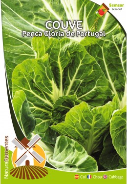 Couve Penca Glória de Portugal