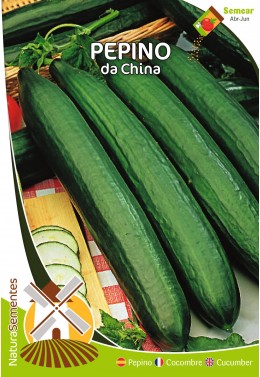 Pepino da China