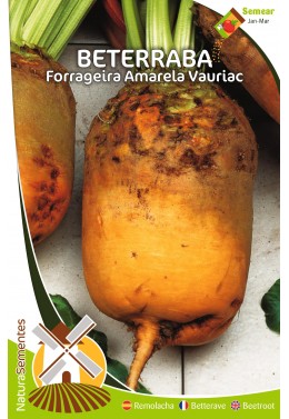 Beterraba Forrageira Amarela Vauriac 