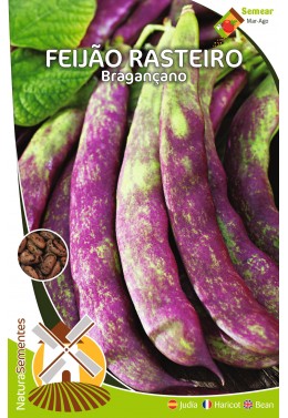 Feijão Rasteiro Bragançano 