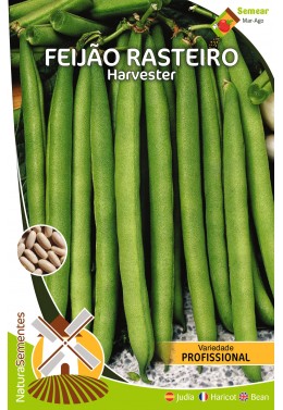 Feijão Rasteiro Harvester (Variedade Profissional) 